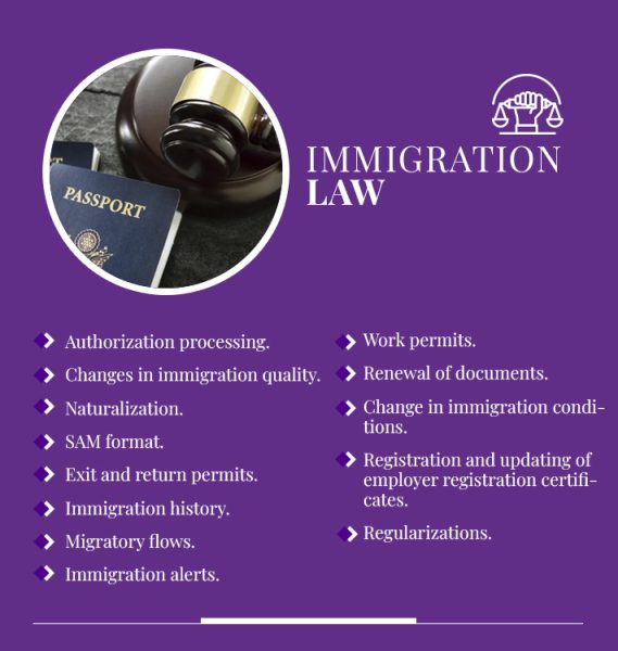 derecho migratorio-eng